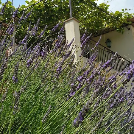 D'hôtes La Bigarade 3*