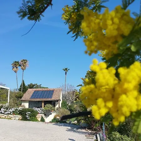Bed and Breakfast D'hotes La Bigarade Golfe-Juan