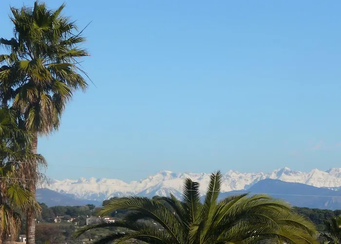 Bed and Breakfast D'hotes La Bigarade Golfe-Juan
