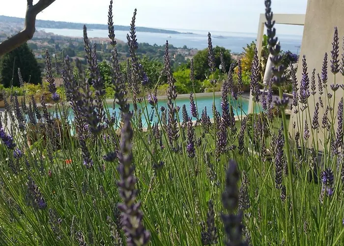 Bed and Breakfast D'hotes La Bigarade Golfe-Juan