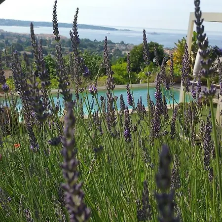 Frühstückspension D'hotes La Bigarade Golfe-Juan